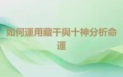 如何運用藏干與十神分析命運