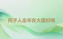 丙子人走辛亥大運好嗎