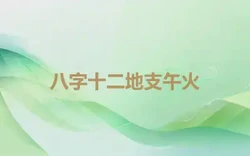 八字十二地支午火