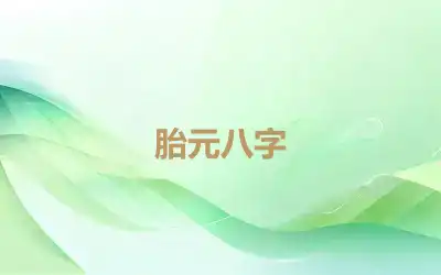 胎元八字