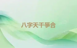 八字天干爭合