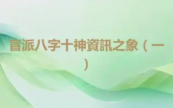 盲派八字十神資訊之象（一）