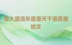 看大運流年是重天干還是重地支