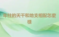 年柱的天干和地支相配怎麼樣
