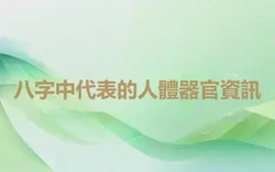 八字中代表的人體器官資訊