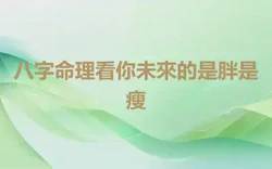 八字命理看你未來的是胖是瘦