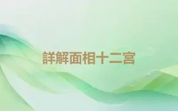 詳解面相十二宮