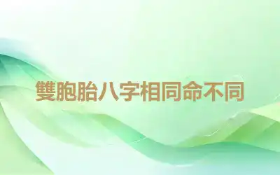 雙胞胎八字相同命不同