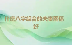 ​什麼八字組合的夫妻關係好