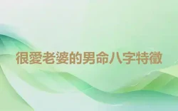 很愛老婆的男命八字特徵