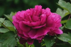 八字看哪些人晚年才能富貴